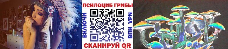 Галлюциногенные грибы GOLDEN TEACHER где купить наркоту Сургут