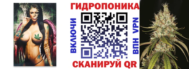 Конопля индика  darknet клад  Сургут 